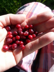 20130715_100249_resized